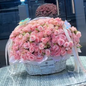  Alanya Blumenlieferung 