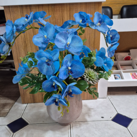  Alanya Çiçekçiler 