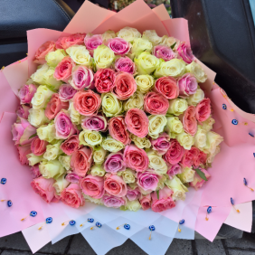  Alanya Çiçek Gönder 