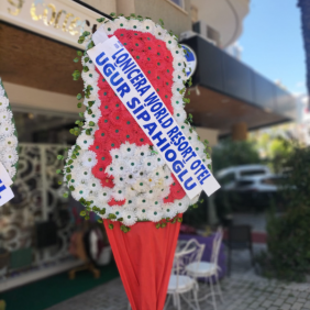  Alanya Çiçek Gönder 