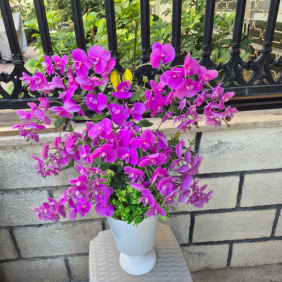  Alanya Çiçekçiler 