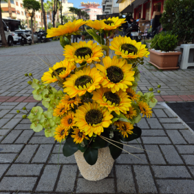  Alanya Çiçek Gönder 