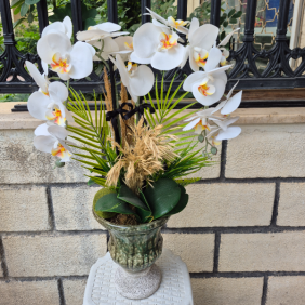  Alanya Çiçekçiler 