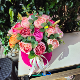  Alanya Çiçek Gönder 