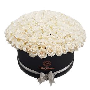 alanya blumen online bestellen 101 weiße Rosen in einer Box 