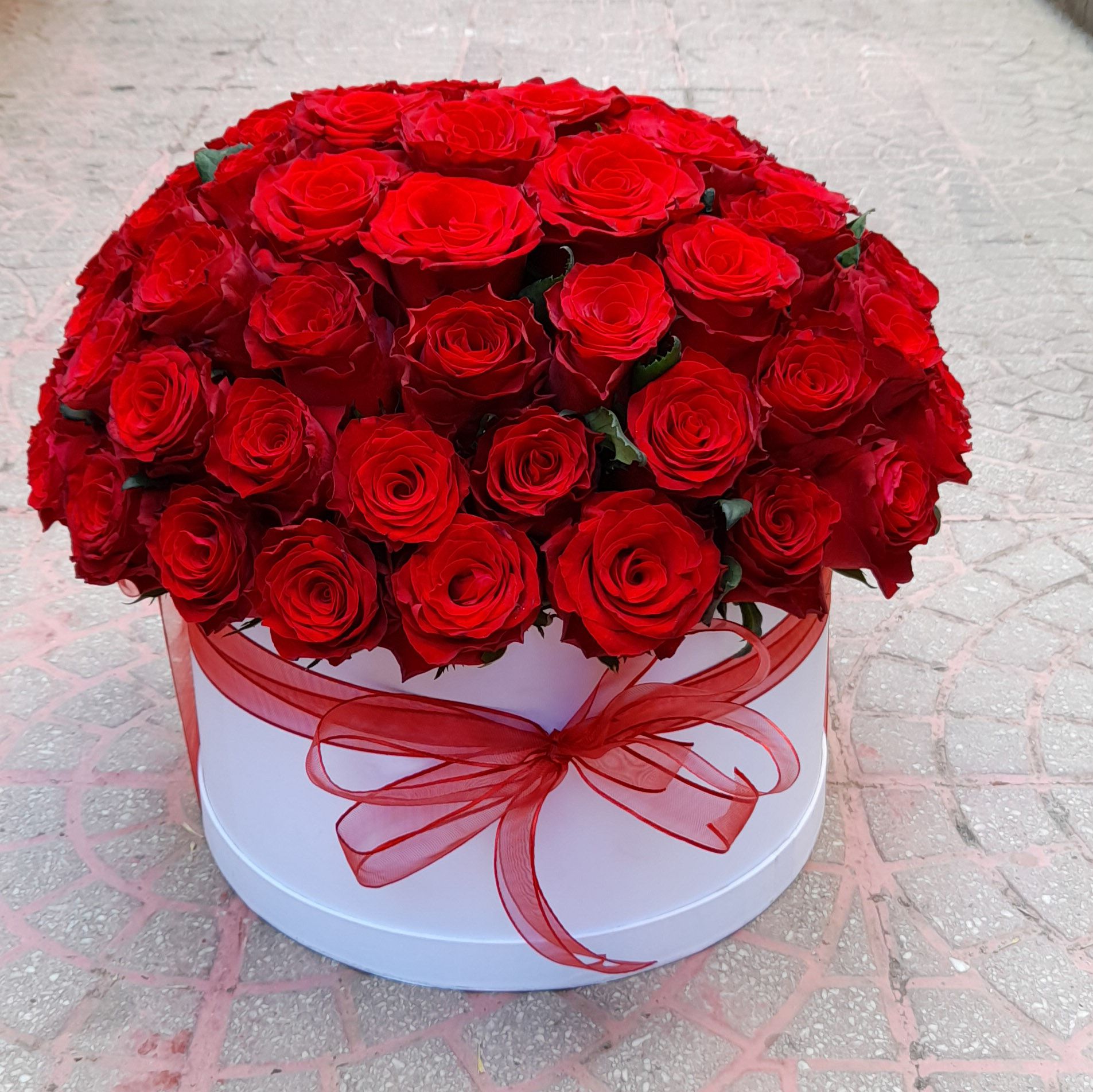 Alanya Florist 