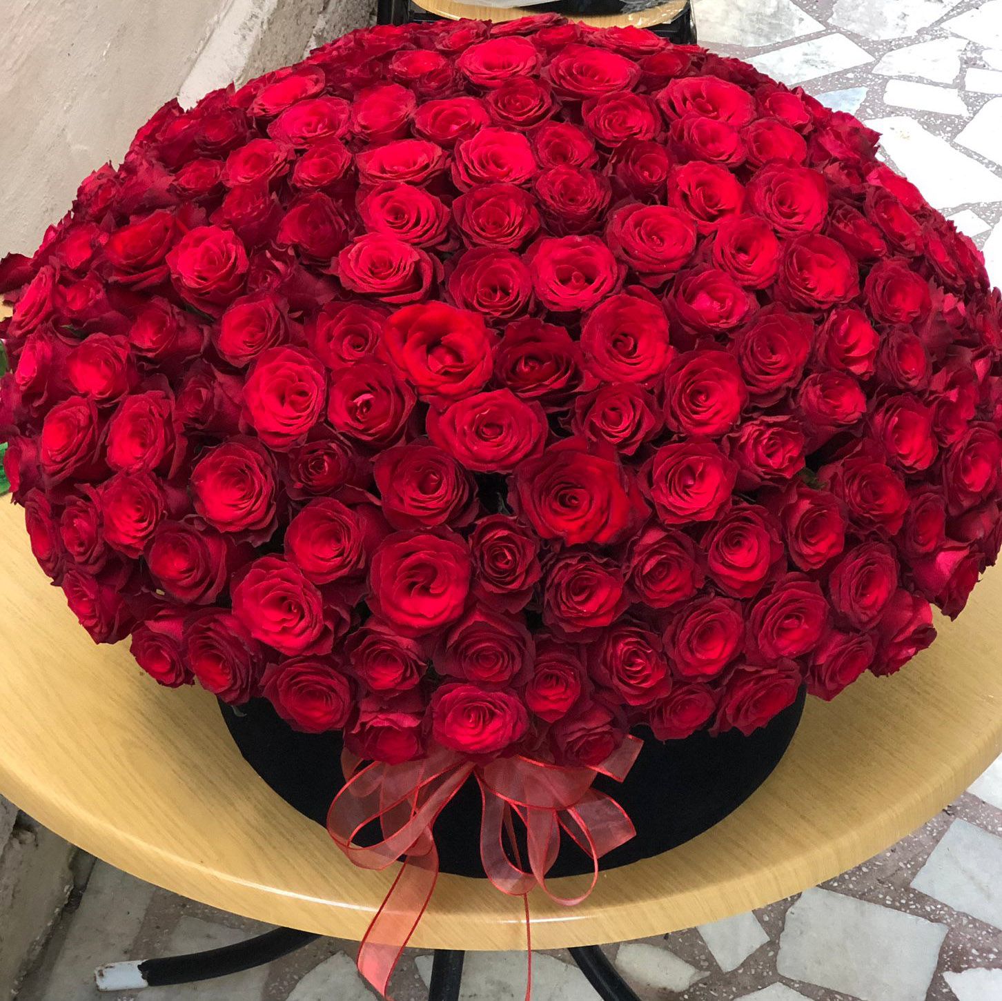  Alanya Florist 