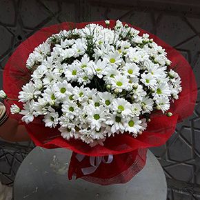 41 gül kutu İçine Papatyalar 