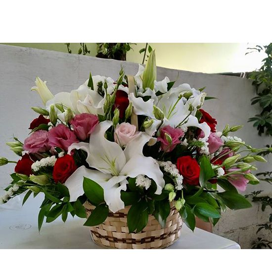  Alanya Florist 