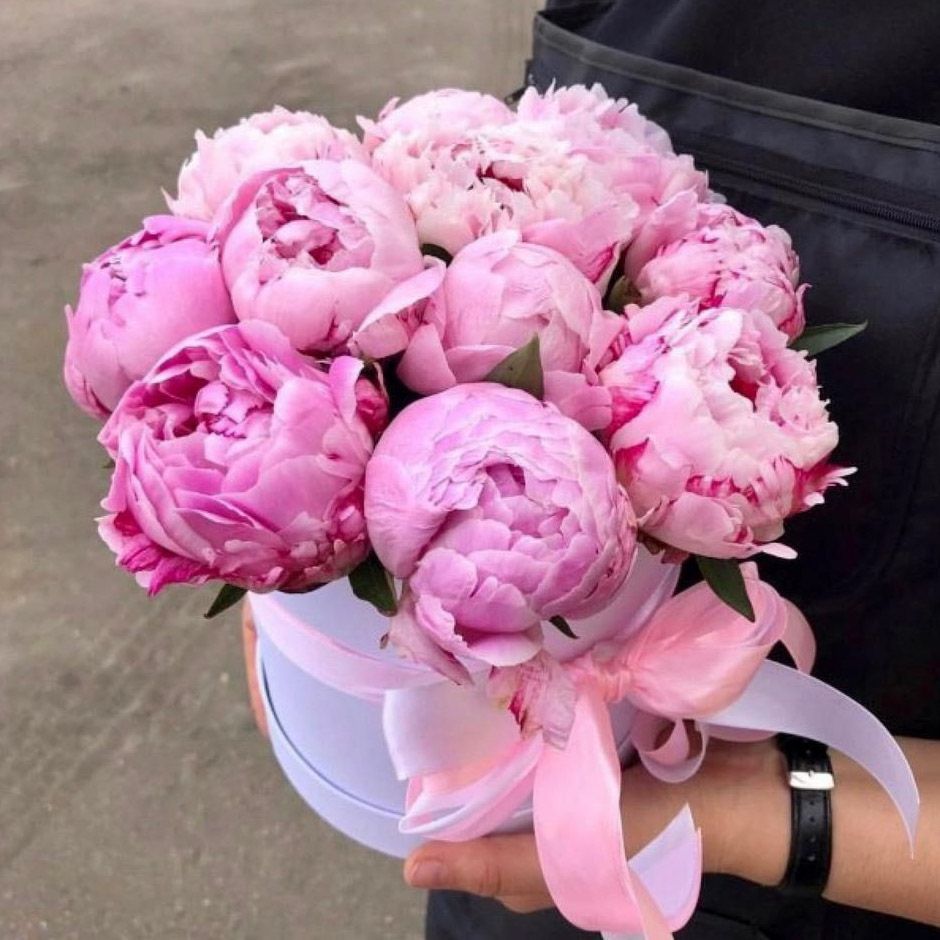  Alanya Florist 