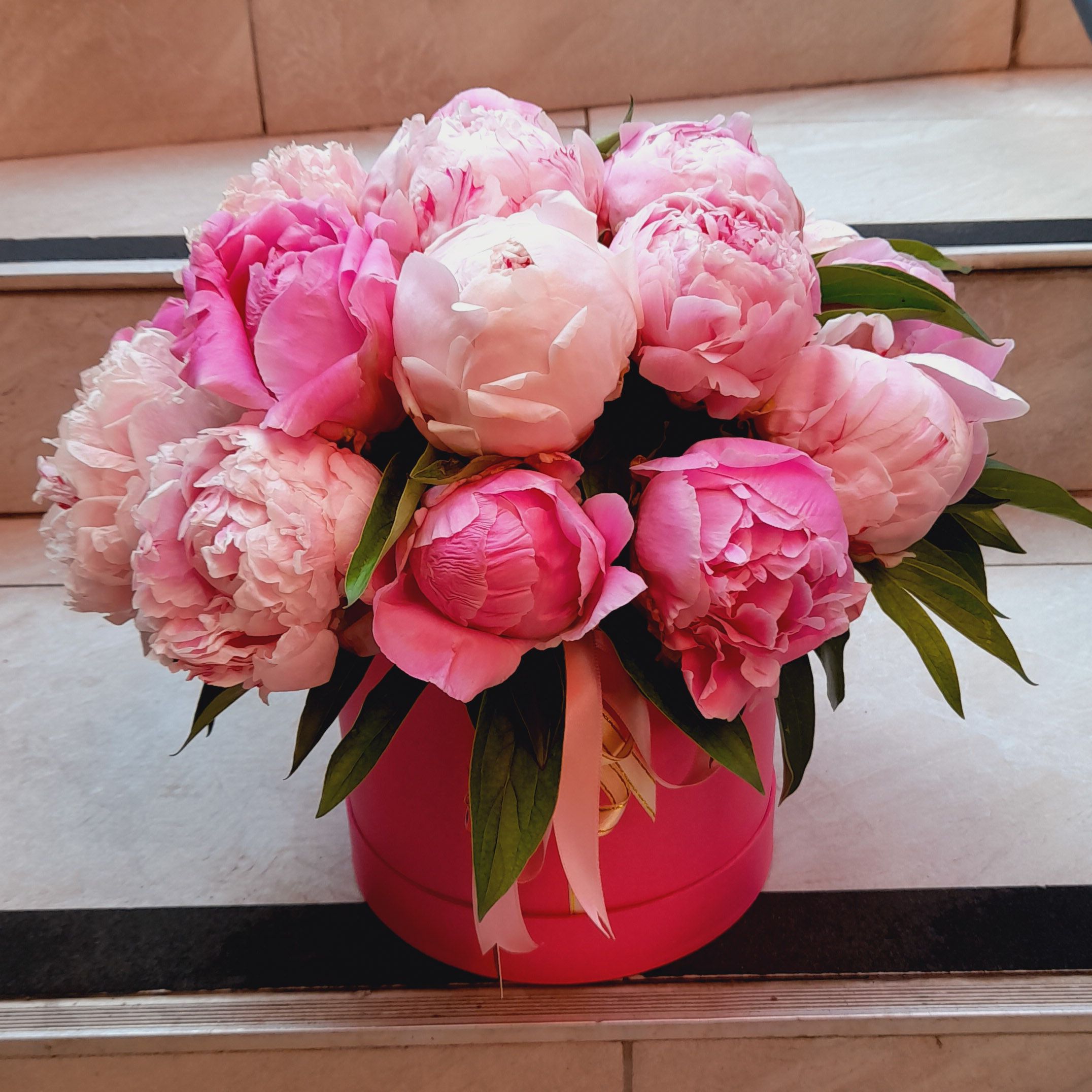  Alanya Florist 