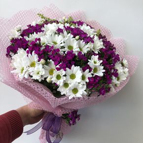  Alanya Florist 