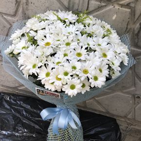  Alanya Flower Order 