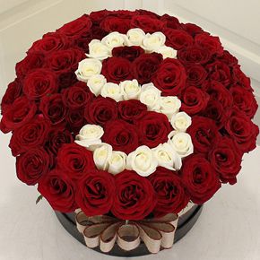 15 красных роз Начальное письмо вашего любовника 