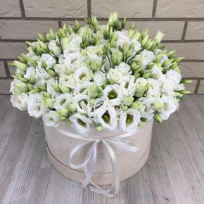 pink flowers in box White Eustoma in Box 