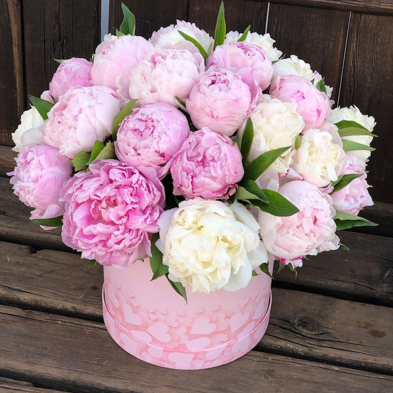 Alanya Florist 